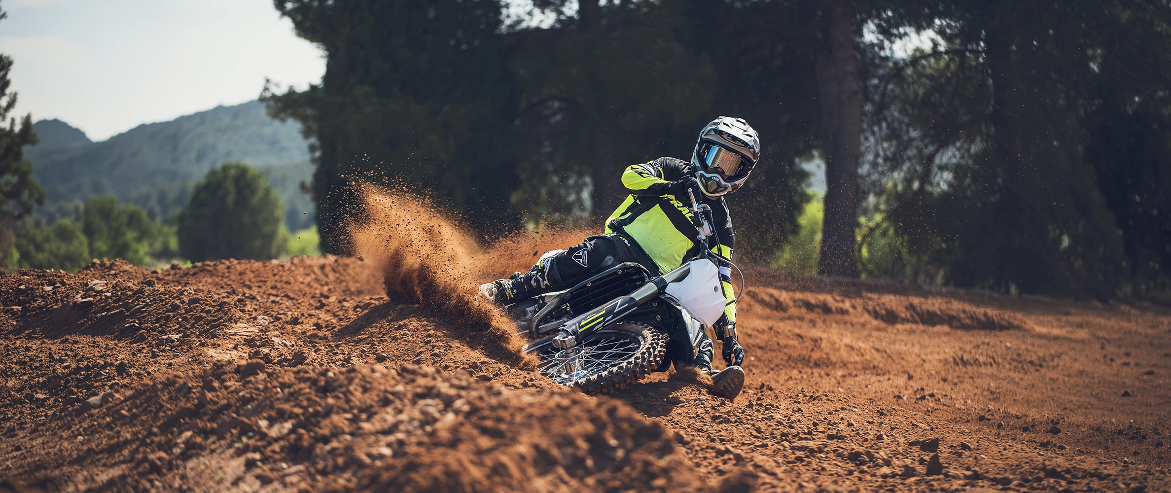 Triumph TF 250-X